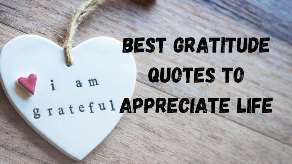 appreciation and love quotes