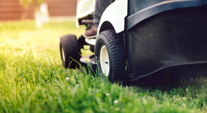 Spot Treatment vs. Broadcast Application: Choosing the Right Methods for Your Lawn