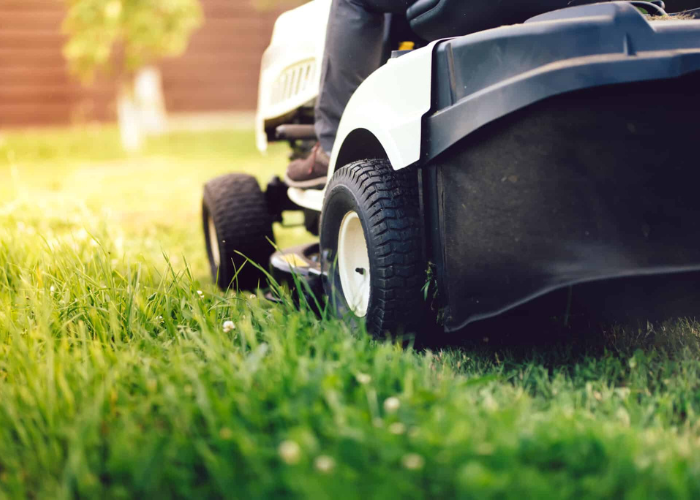 Spot Treatment vs. Broadcast Application: Choosing the Right Methods for Your Lawn