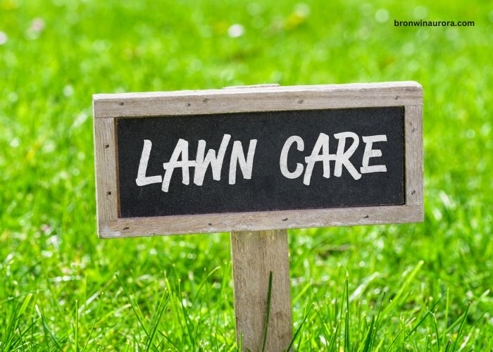 10 Game-Changing Lawn Care Tips for a Healthier, Greener Yard