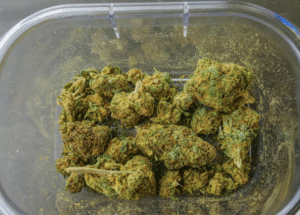 Trusted Dispensary